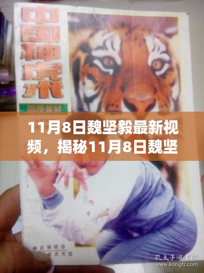 揭秘魏堅(jiān)毅最新視頻，深度解析內(nèi)容與影響力，11月8日獨(dú)家報(bào)道