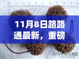 重磅揭秘，11月8日路路通最新動(dòng)態(tài)前沿資訊一覽