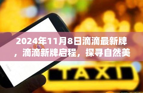 滴滴新啟程，探尋自然美景的心靈寧?kù)o之旅（2024年11月8日）
