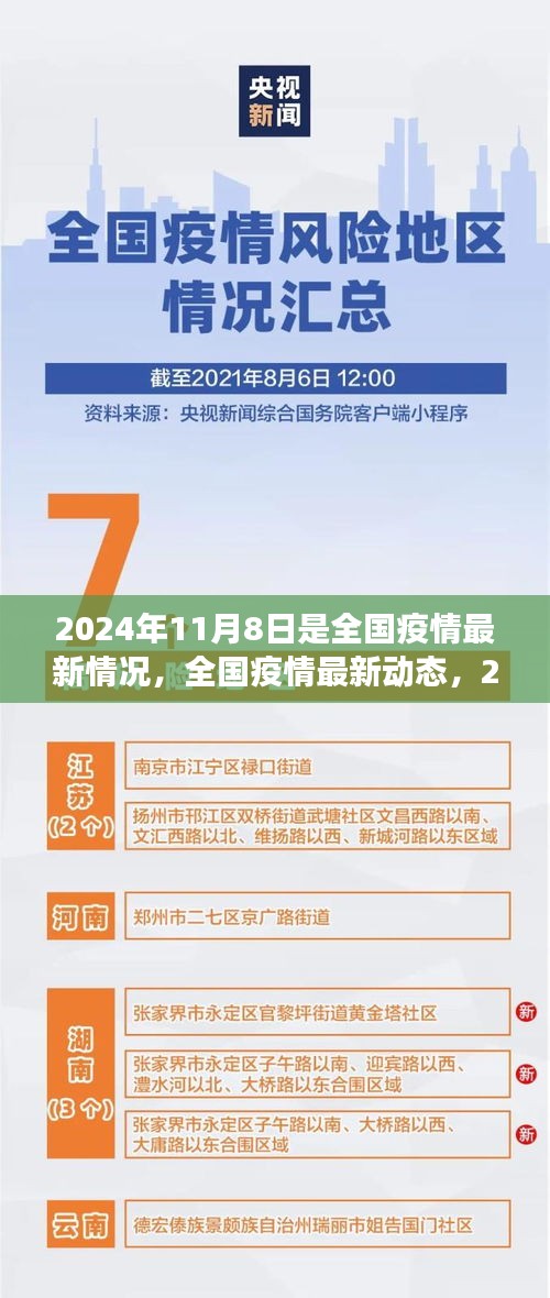 全國疫情最新動態(tài)，見證希望之光，2024年11月8日紀實報道