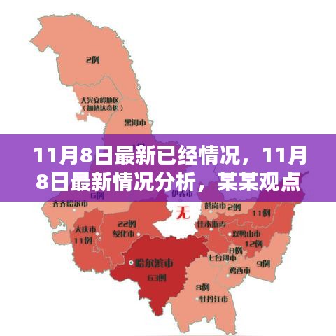 某某觀點(diǎn)下的深度探討，11月8日最新情況分析報(bào)告