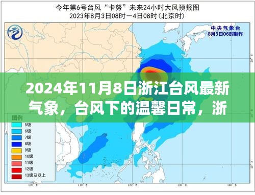 浙江臺(tái)風(fēng)下的溫馨日常與深厚友情，最新氣象與臺(tái)風(fēng)記憶