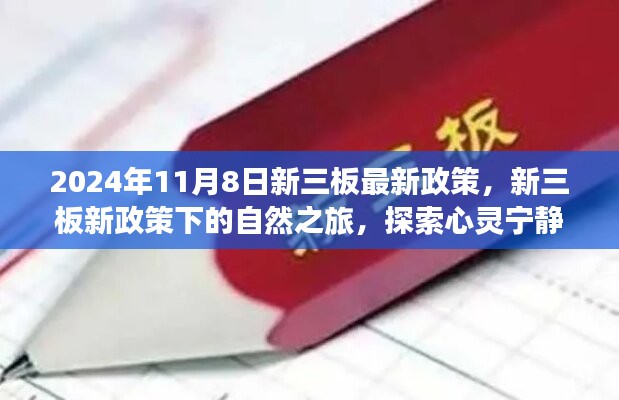 新三板新政策下的自然之旅，探索心靈寧靜的奇妙旅程（2024年11月8日最新政策解讀）