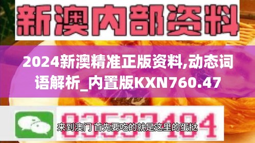 2024新澳精準正版資料,動態(tài)詞語解析_內(nèi)置版KXN760.47
