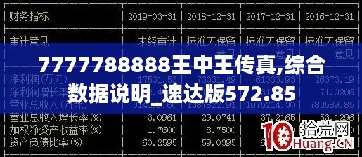 7777788888王中王傳真,綜合數(shù)據(jù)說明_速達版572.85