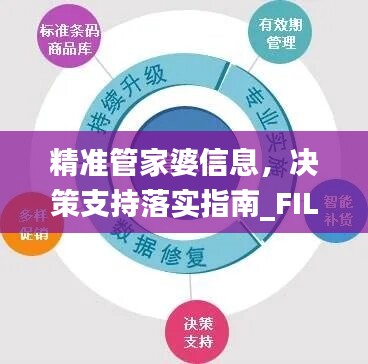 精準(zhǔn)管家婆信息，決策支持落實指南_FIL13.87