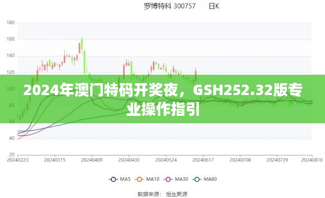 2024年澳門特碼開獎夜，GSH252.32版專業(yè)操作指引