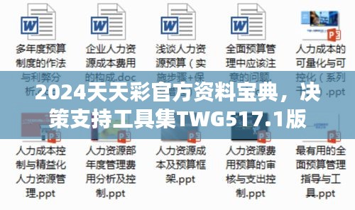 2024天天彩官方資料寶典，決策支持工具集TWG517.1版