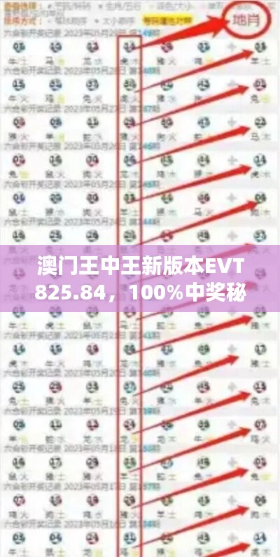 澳門王中王新版本EVT825.84，100%中獎秘籍詳解