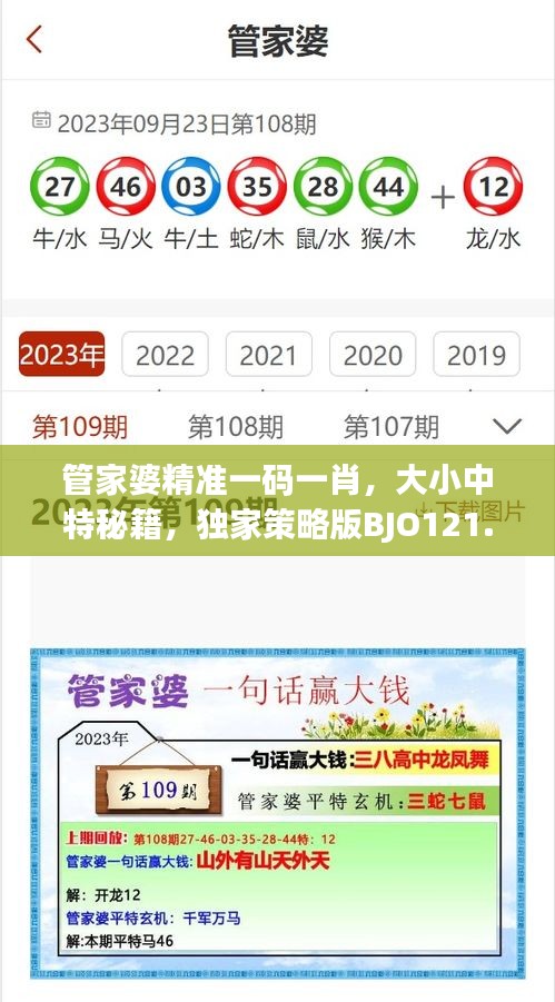 管家婆精準(zhǔn)一碼一肖，大小中特秘籍，獨家策略版BJO121.87