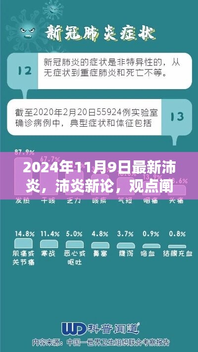 沛炎新論深度解析，觀點闡述與最新分析（2024年11月9日）
