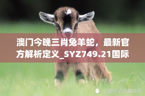 澳門今晚三肖兔羊蛇，最新官方解析定義_SYZ749.21國(guó)際版