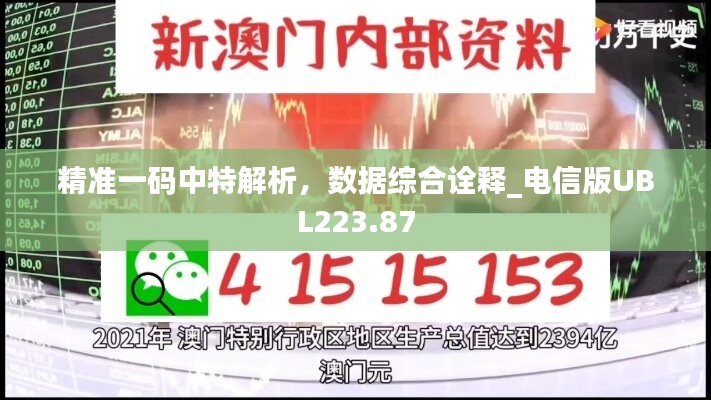 精準(zhǔn)一碼中特解析，數(shù)據(jù)綜合詮釋_電信版UBL223.87