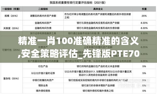 精準(zhǔn)一肖100準(zhǔn)確精準(zhǔn)的含義,安全策略評(píng)估_先鋒版PTE708.92