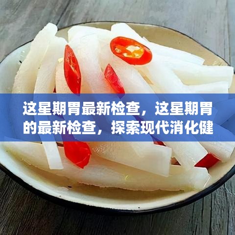 2024年11月10日 第13頁