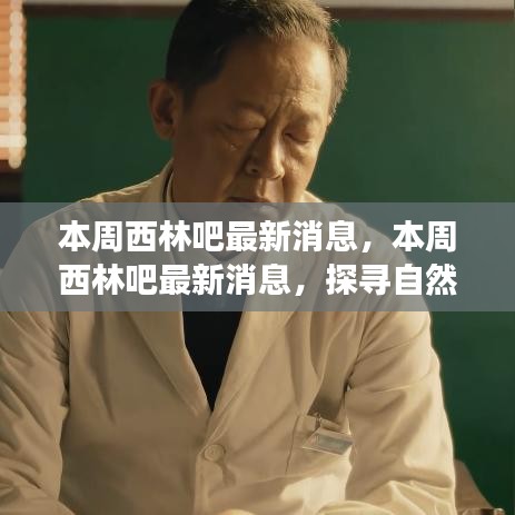 探尋自然美景，啟程心靈之旅，西林吧最新消息本周揭秘