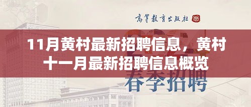 11月黃村最新招聘信息概覽