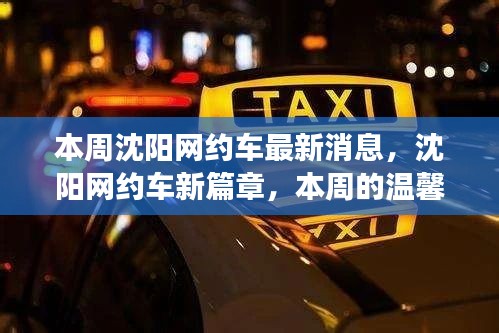 沈陽網(wǎng)約車新動態(tài)，本周最新消息與溫馨出行篇章