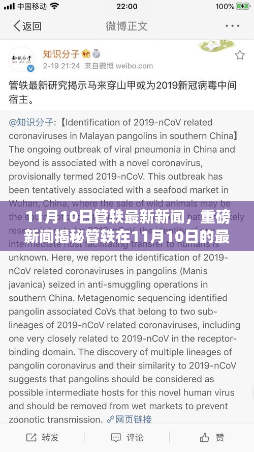 獨家揭秘，管軼最新動態(tài)與成就深度解析報道——重磅新聞獨家報道（11月10日更新）