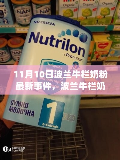 深度關(guān)注，波蘭牛欄奶粉最新事件解析與動(dòng)態(tài)（11月10日更新）