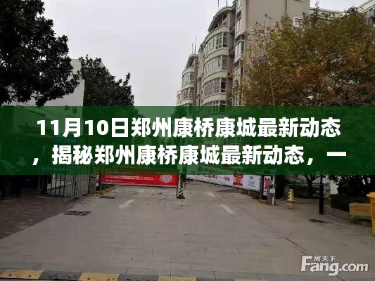 2024年11月11日 第24頁