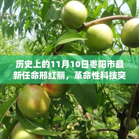 邢紅麗掌舵下的棗陽市，革命性科技突破與新任高科技產(chǎn)品重磅發(fā)布