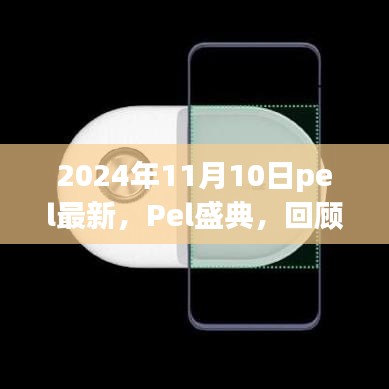 2024年11月10日Pel盛典回顧，歷史性時(shí)刻的璀璨瞬間