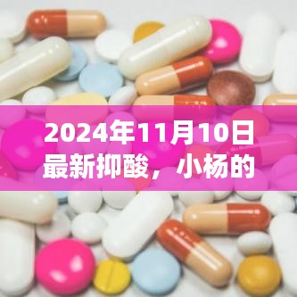 小楊的抑酸奇遇，友情、家庭與溫馨的日常生活（2024年11月10日最新）