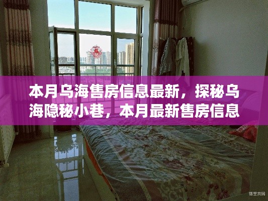 烏海最新售房信息揭秘，隱秘小巷與獨(dú)特小店故事同步更新