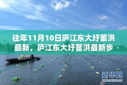 廬江東大圩蓄洪最新動(dòng)態(tài)及參與蓄洪任務(wù)全攻略解析
