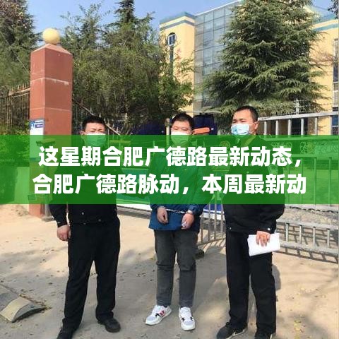 合肥廣德路本周最新動(dòng)態(tài)概覽