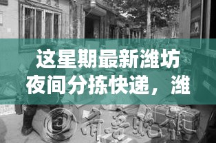 濰坊夜間智能分揀系統(tǒng)，科技加速快遞生活，夜間速度與便捷體驗新紀(jì)元