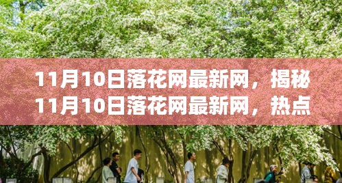 揭秘?zé)狳c(diǎn)，11月10日落花網(wǎng)最新動(dòng)態(tài)與深度解讀