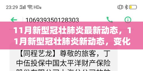 11月新冠肺炎最新動(dòng)態(tài)，學(xué)習(xí)中的變化與自信成就的力量