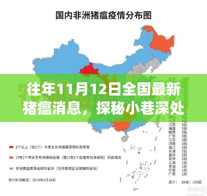 歷年11月12日全國豬瘟動態(tài)與小巷特色小店探秘，背后的故事與最新消息