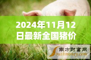 2024年11月12日全國(guó)豬價(jià)格行情深度分析與預(yù)測(cè)