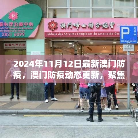 澳門防疫動態(tài)更新報告，最新進展與關鍵要點解析（2024年11月版）