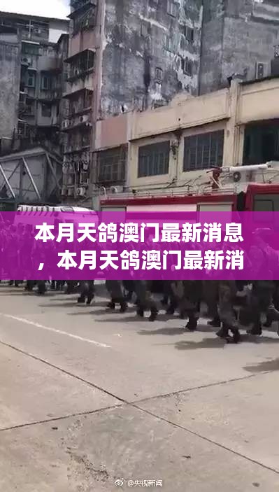 本月天鴿澳門最新消息解析，多方觀點與個人立場闡述
