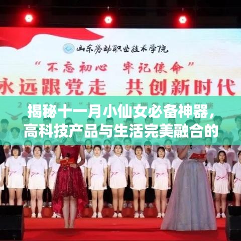 揭秘十一月小仙女必備神器，高科技產(chǎn)品與生活完美融合的新時代必備品