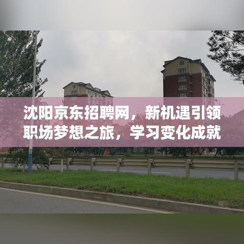 沈陽京東招聘網(wǎng)，新機(jī)遇引領(lǐng)職場夢想之旅，學(xué)習(xí)變化成就未來