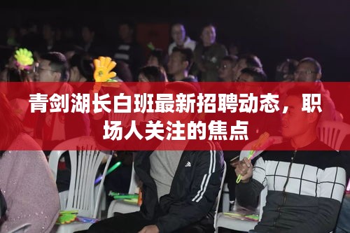 青劍湖長白班最新招聘動態(tài)，職場人關(guān)注的焦點
