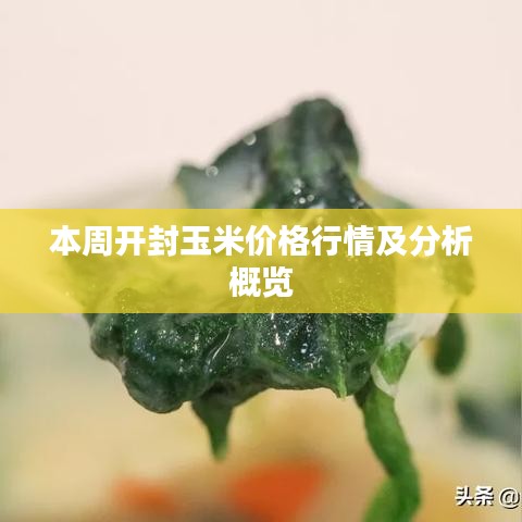 本周開封玉米價格行情及分析概覽