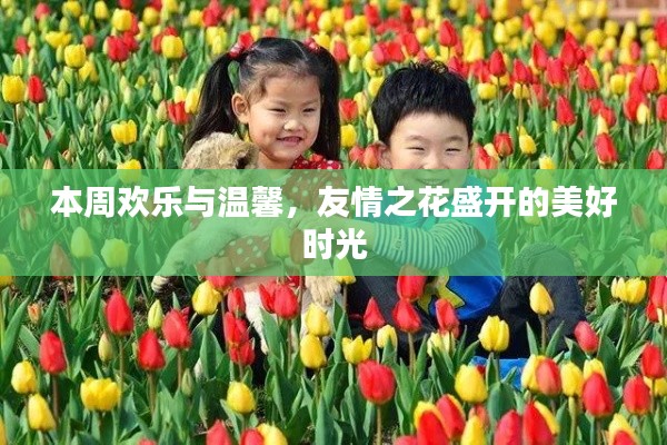 本周歡樂與溫馨，友情之花盛開的美好時光