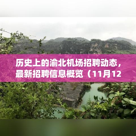 歷史上的渝北機(jī)場(chǎng)招聘動(dòng)態(tài)，最新招聘信息概覽（11月12日）