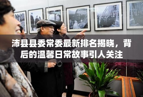 沛縣縣委常委最新排名揭曉，背后的溫馨日常故事引人關(guān)注