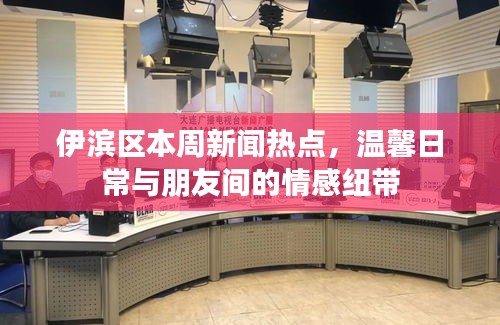 伊濱區(qū)本周新聞熱點，溫馨日常與朋友間的情感紐帶