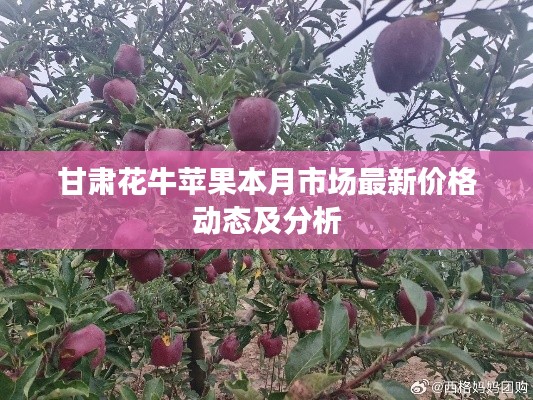 甘肅花牛蘋果本月市場(chǎng)最新價(jià)格動(dòng)態(tài)及分析