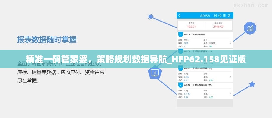 精準一碼管家婆，策略規(guī)劃數(shù)據(jù)導航_HFP62.158見證版