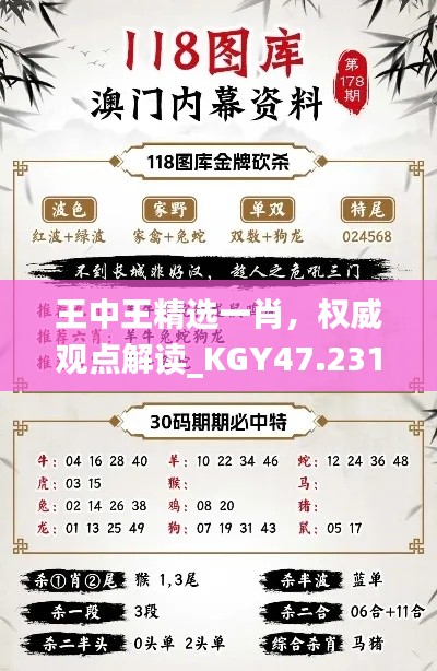 王中王精選一肖，權(quán)威觀點解讀_KGY47.231閃電版