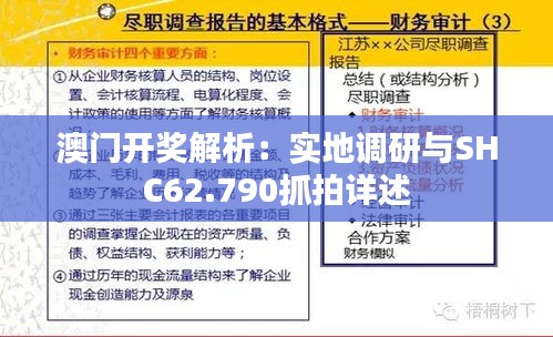 澳門開獎解析：實地調研與SHC62.790抓拍詳述